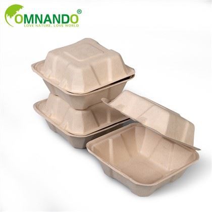 Biodegradable Food Package