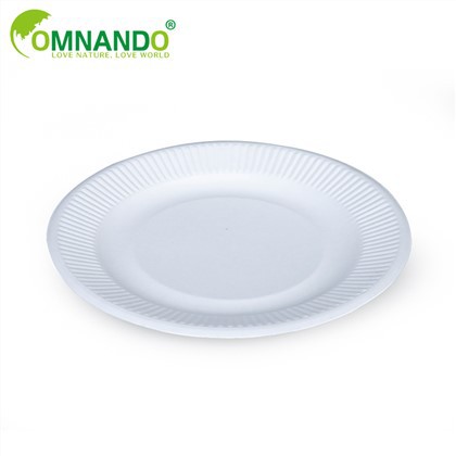 Biodegradable White Bagasse Paper Round Plate