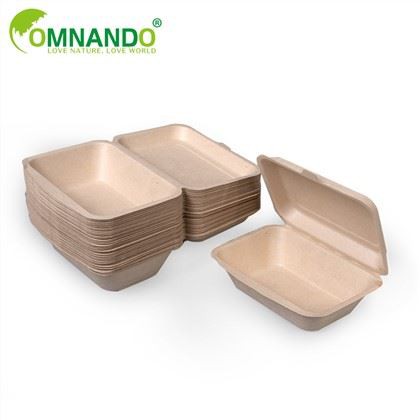 Disposable Food Packaging Container